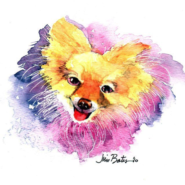 Pomeranian
$210
12 x 12” 
Black wood Frame